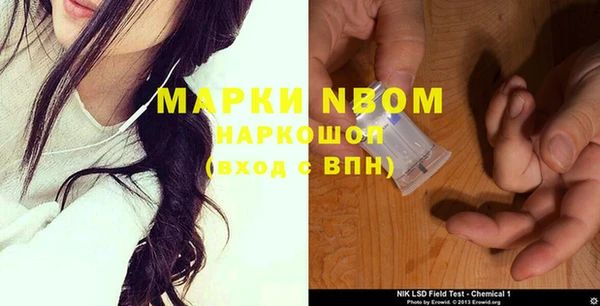 прущий лед Абаза
