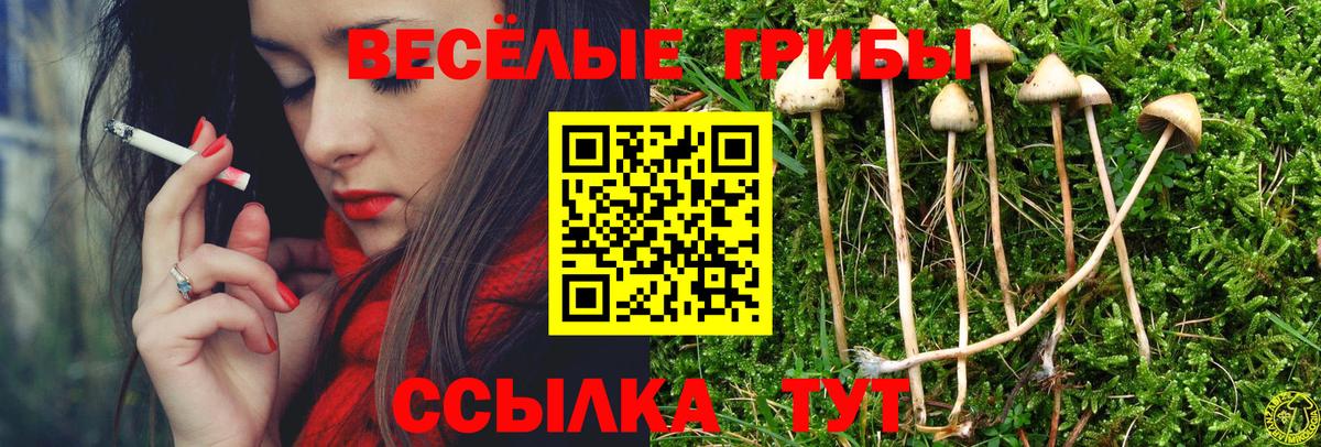 Псилоцибиновые грибы ЛСД  Вход с VPN  Соликамск 