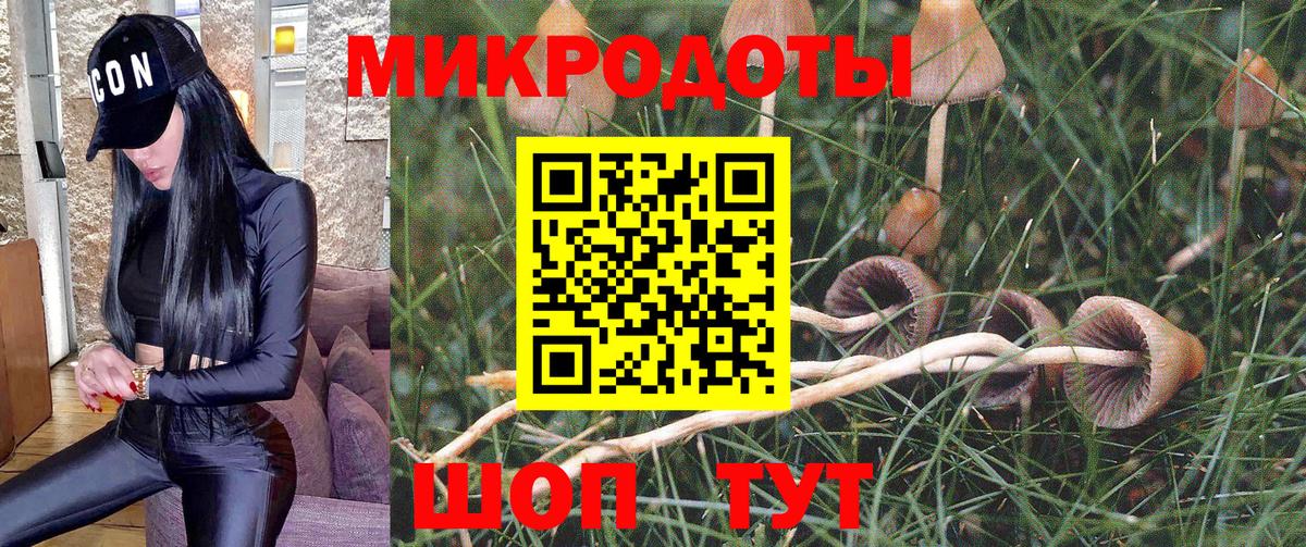 Псилоцибиновые грибы мицелий Соликамск